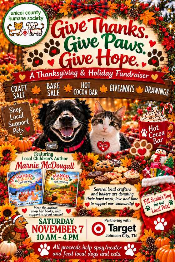 Animal Shelter Flyer